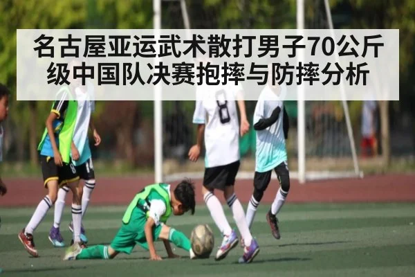 名古屋亚运武术散打男子70公斤级中国队决赛抱摔与防摔分析