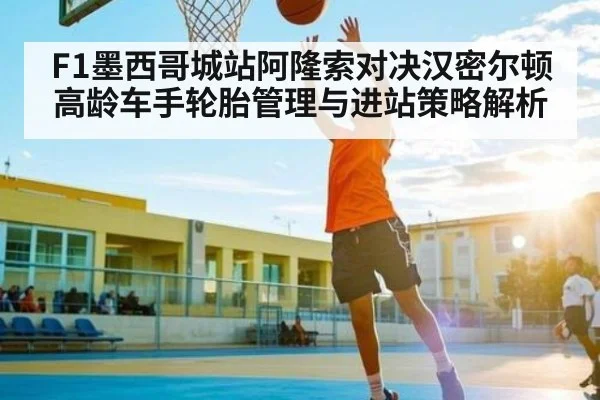 F1墨西哥城站阿隆索对决汉密尔顿高龄车手轮胎管理与进站策略解析（TianBo Sports）